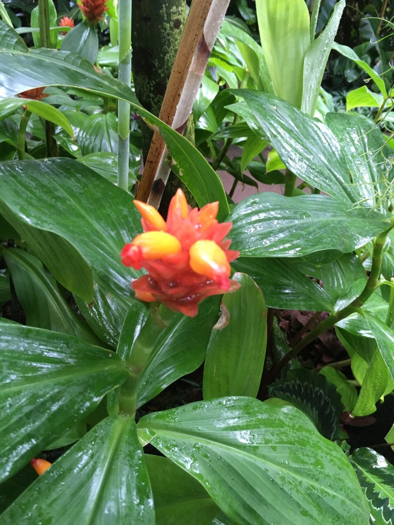 This image has an empty alt attribute; its file name is img_0260.jpg