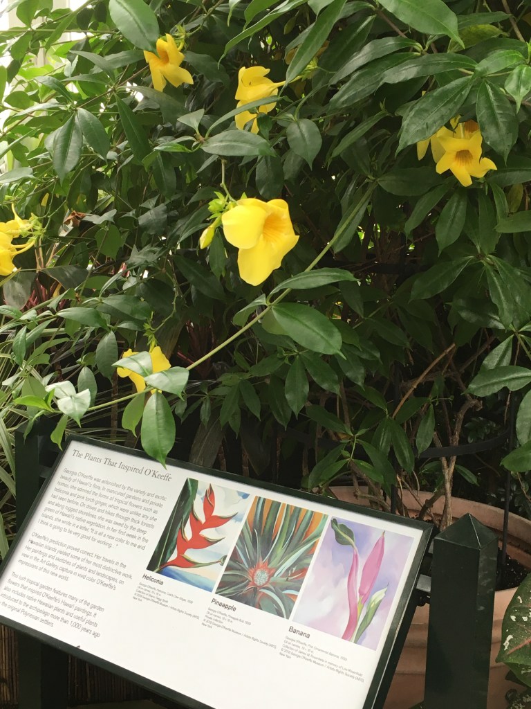 This image has an empty alt attribute; its file name is img_0264.jpg