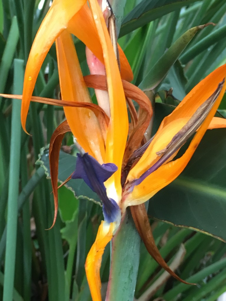 This image has an empty alt attribute; its file name is img_0281.jpg